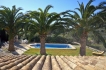 Casa de vacaciones:&nbsp;Cuatro Palmeras