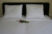 Villa:&nbsp;Villa 5 Estrellas Curacao Caribbean