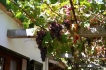 Maison de vacances:&nbsp;Torrandell