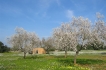 Maison de campagne:&nbsp;Son Rengo