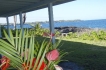 Maison:&nbsp;Ocean front Dolphin house