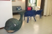 Appartement:&nbsp;Alina