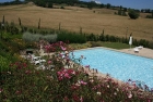 Franca,&nbsp;FRANCA - Casole d'Elsa-...