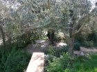 Speranza,&nbsp;Charmant gite pour 2...