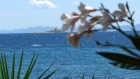 Villa Sanja,&nbsp;Villa Sanja is located...