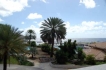 Apartment:&nbsp;Dolphins Corner