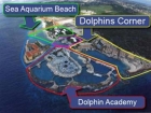 Dolphins Corner,&nbsp;One of the few places...