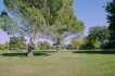 Holiday house:&nbsp;Celine