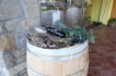 Apartment:&nbsp;Agriturismo Manerba del Garda 3