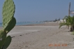 Holiday house:&nbsp;Fico d India