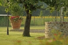 Villa Ponticelli,&nbsp;Villa PonticelliVilla...