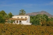 Holiday home:&nbsp;Benicambra