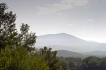 Holiday home:&nbsp;Carpe Diem LT