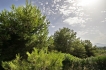 Holiday home:&nbsp;Carpe Diem LT