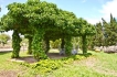 Country house:&nbsp;Alqueria