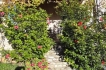 Holiday house:&nbsp;Miguel Tomas