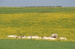 Vakantiewoning:&nbsp;Ferme de la hé