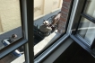 Vakantiewoning:&nbsp;Groeningehuys