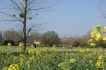 Vakantiewoning:&nbsp;Villa Anna