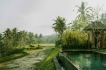 Villa:&nbsp;Jiwa