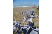 Appartement:&nbsp;Camelia