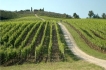 Appartement:&nbsp;Cora