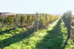 Appartement:&nbsp;Geranium