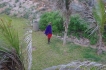 Appartement:&nbsp;Blue Cove PH2 Watamu Kenya