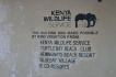 Appartement:&nbsp;Blue Cove PH2 Watamu Kenya