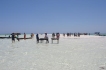 Appartement:&nbsp;Blue Cove PH2 Watamu Kenya