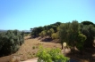 Appartement:&nbsp;T2 Alfamar