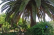 Vakantiewoning:&nbsp;Cavea