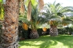 Vakantiewoning:&nbsp;Daria