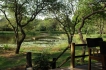 Vakantiewoning:&nbsp;vakantiehuis KRUGER ESTATE WILD OLIVE