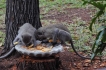 Vakantiewoning:&nbsp;vakantiehuis KRUGER ESTATE WILD OLIVE