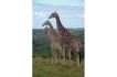 Vakantiewoning:&nbsp;vakantiehuis KRUGER ESTATE WILD OLIVE