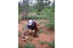 Vakantiewoning:&nbsp;vakantiehuis KRUGER ESTATE WILD OLIVE