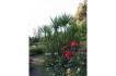 Ferienhaus:&nbsp;Andree