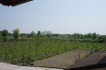 Ferienwohnung:&nbsp;Agriturismo Manerba del Garda 3