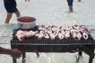 Ferienwohnung:&nbsp;Blue Cove PH2 Watamu Kenya