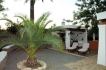 Ferienhaus:&nbsp;Villa  Can Curreu