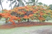 Haus:&nbsp;Hawaii Kapoho Holiday Home